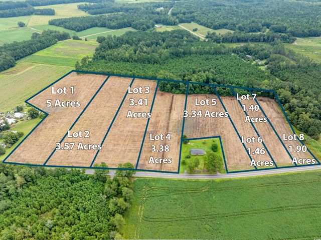 TBD Lot B2 Mount Olive Church Rd., Nichols, SC 29581