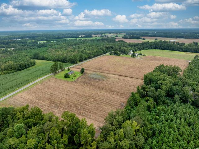 TBD Lot B2 Mount Olive Church Rd., Nichols, SC 29581