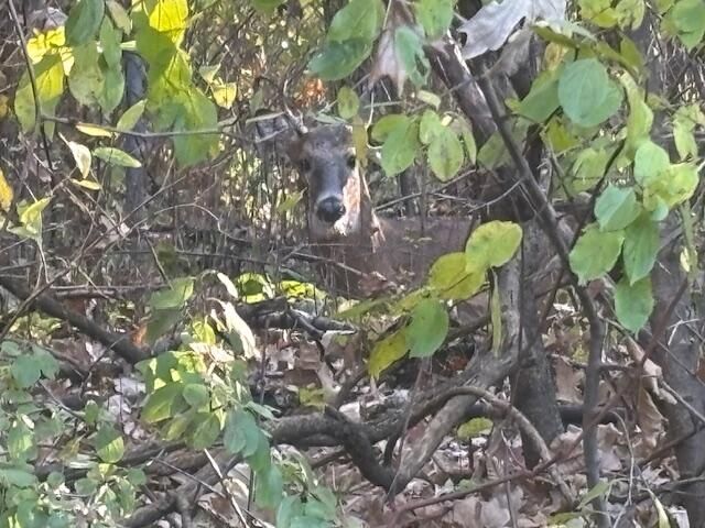 710 W Blackhawk DRIVE, Fort Atkinson, WI 53538