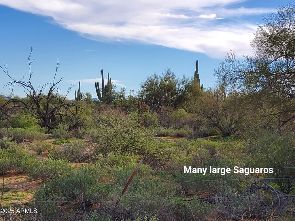 0 S 168th Street 0, Rio Verde, AZ 85263 — photo 3