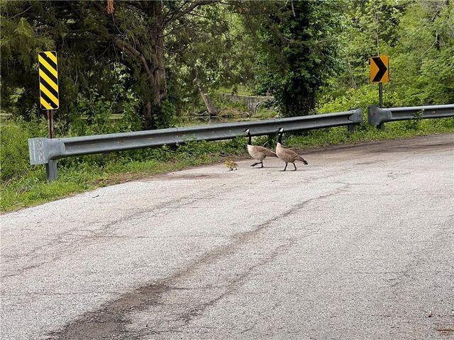 705 S Fairview Avenue, Independence, MO 64053