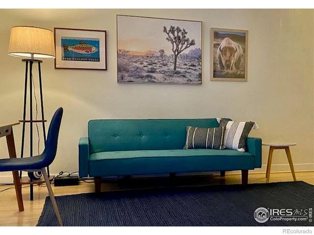 1111 Maxwell Avenue, Boulder, CO 80304