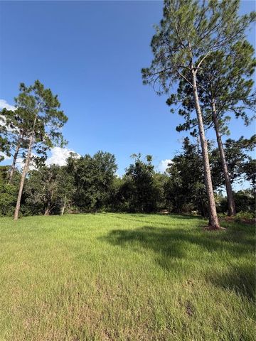 1981 LEMON DRIVE, Lake Wales, FL 33898