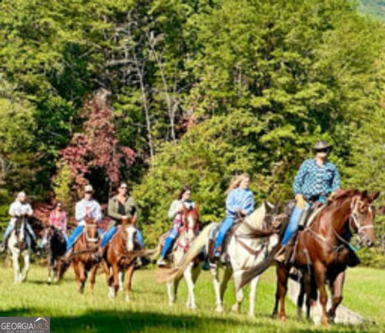 35 Canyon Pass, Cleveland, GA 30528