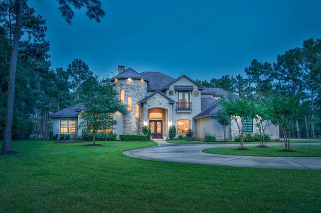 28842 Lakeside Green, Magnolia, TX 77355