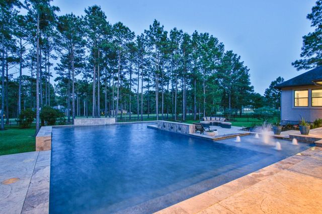 28842 Lakeside Green, Magnolia, TX 77355