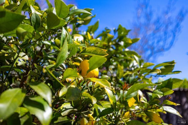 79 Fountain Grove Cir, Napa, CA 94558