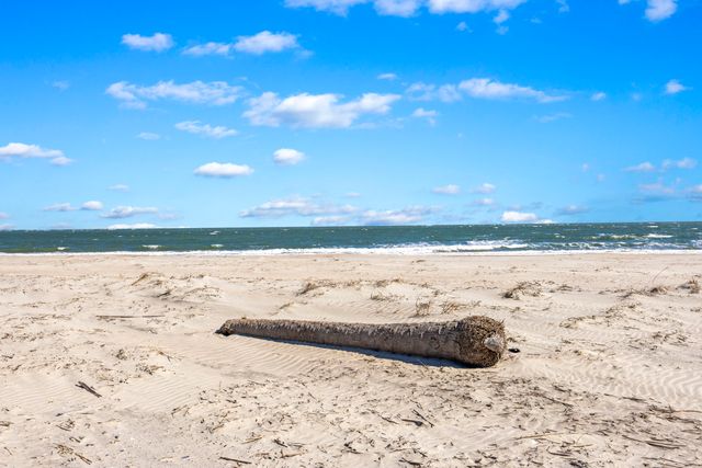 7000 Palmetto Drive 3d, Isle Of Palms, SC 29451