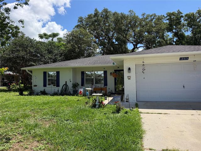 12315 SE 60TH TERRACE, Belleview, FL 34420