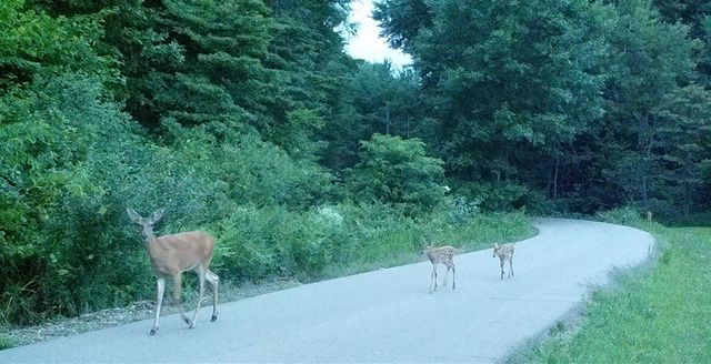 18800 County Road 681, Grand Junction, MI 49056