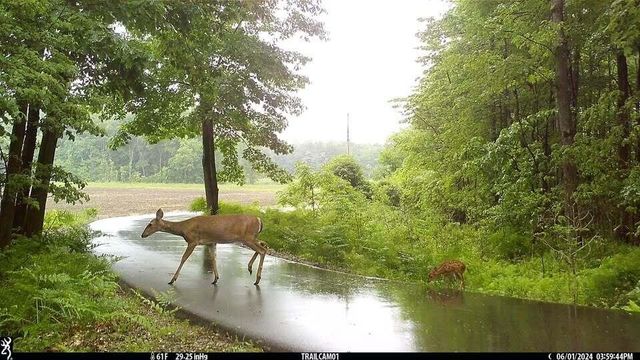 18800 County Road 681, Grand Junction, MI 49056