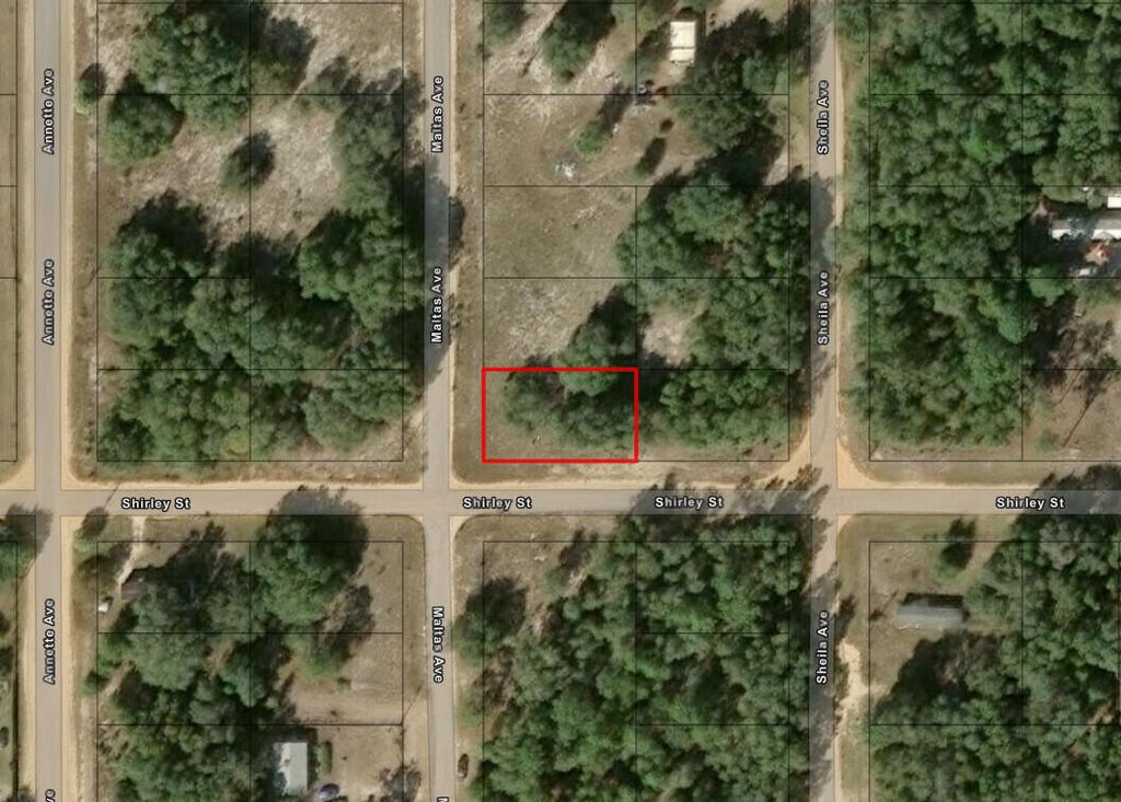 0 Shirley Street, Interlachen, FL 32148