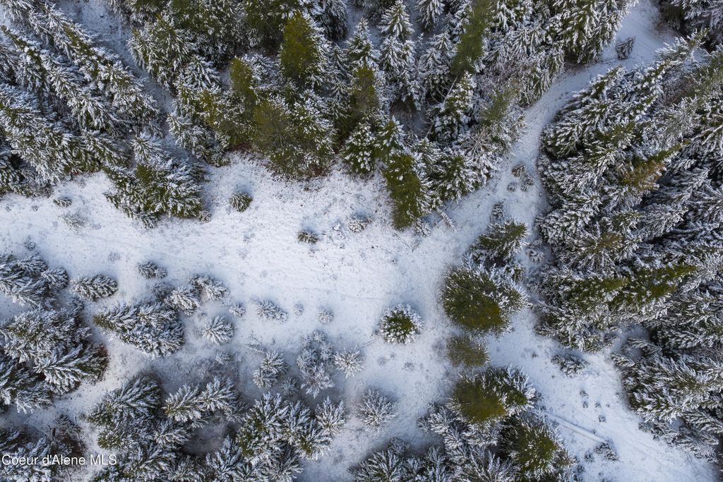 533739 U.S. 95 - 75 & 95 Acres, Bonners Ferry, ID 83805 photo 15