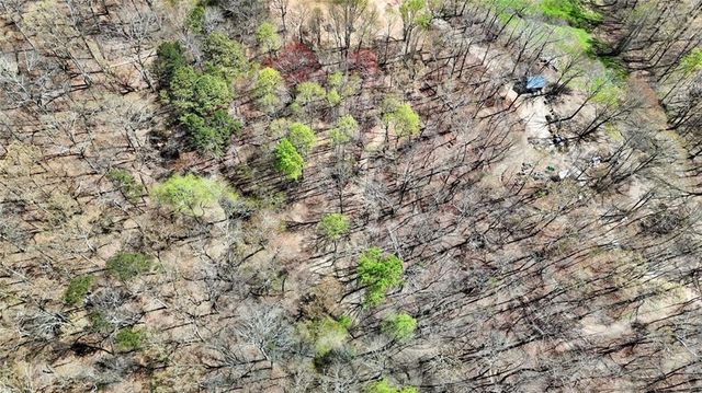 11267 E Cherokee Drive, Ball Ground, GA 30107