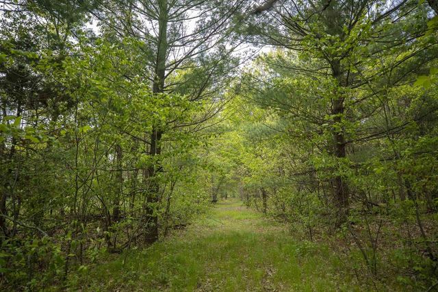 W3090 Yellow Banks Trail, Nekoosa, WI 54457