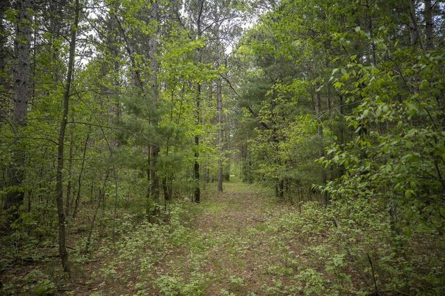 W3090 Yellow Banks Trail, Nekoosa, WI 54457