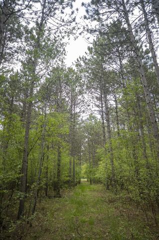 W3090 Yellow Banks Trail, Nekoosa, WI 54457