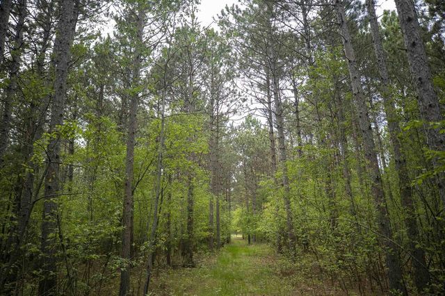 W3090 Yellow Banks Trail, Nekoosa, WI 54457