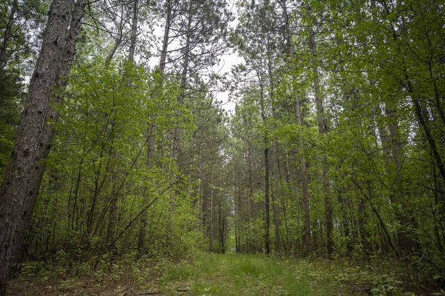 W3090 Yellow Banks Trail, Nekoosa, WI 54457