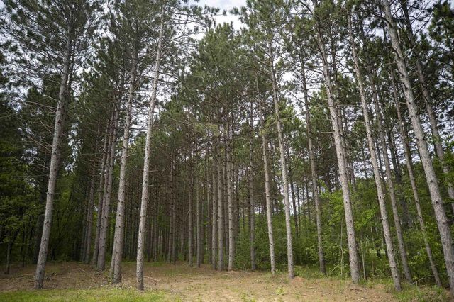 W3090 Yellow Banks Trail, Nekoosa, WI 54457