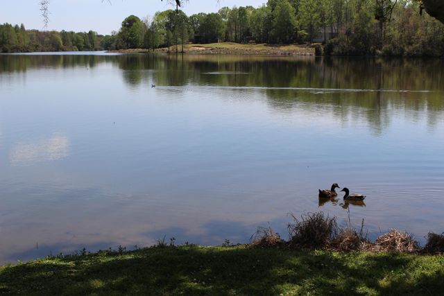 104 Kings Court, Goose Creek, SC 29445