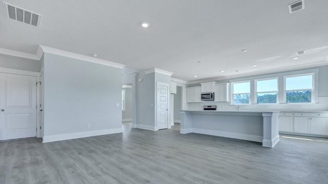 116 Coastline Street, Ridgeville, SC 29472