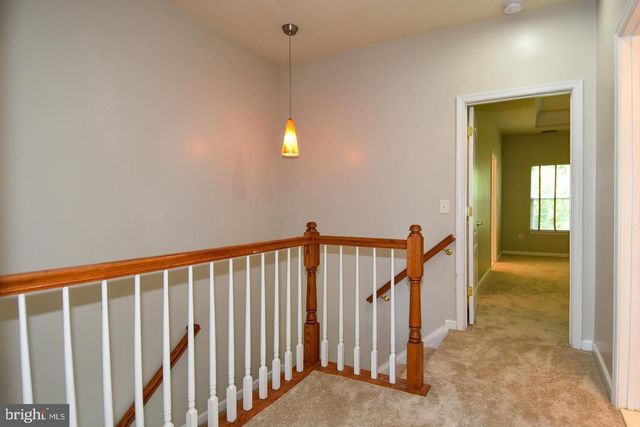 7810 LOCUST LEAF LN, Alexandria, VA 22315