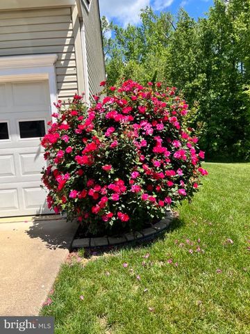 2707 FRANCIS CT, Fredericksburg, VA 22408