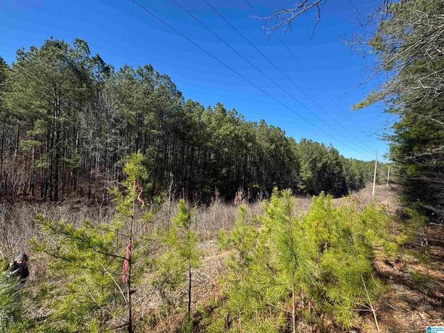 0 BOOLER ROAD, Vance, AL 35490