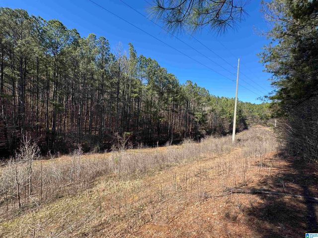 0 BOOLER ROAD, Vance, AL 35490