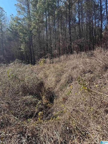 0 BOOLER ROAD, Vance, AL 35490