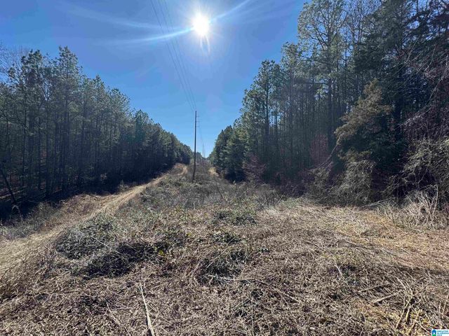 0 BOOLER ROAD, Vance, AL 35490