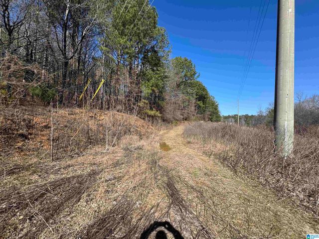 0 BOOLER ROAD, Vance, AL 35490