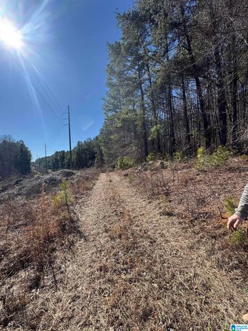 0 BOOLER ROAD, Vance, AL 35490