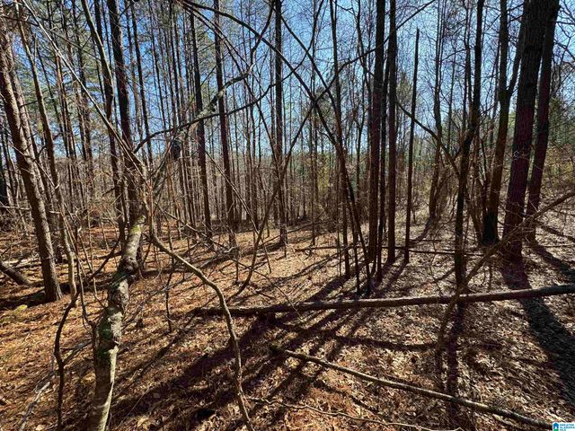 0 BOOLER ROAD, Vance, AL 35490