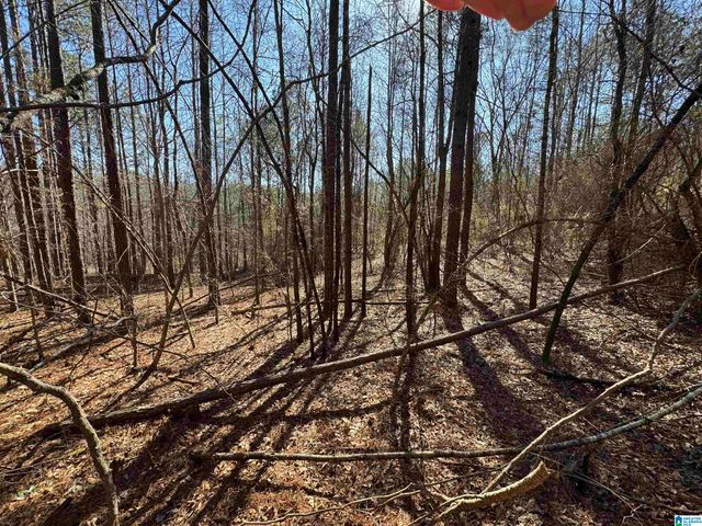 0 BOOLER ROAD, Vance, AL 35490