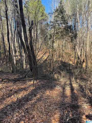 0 BOOLER ROAD, Vance, AL 35490