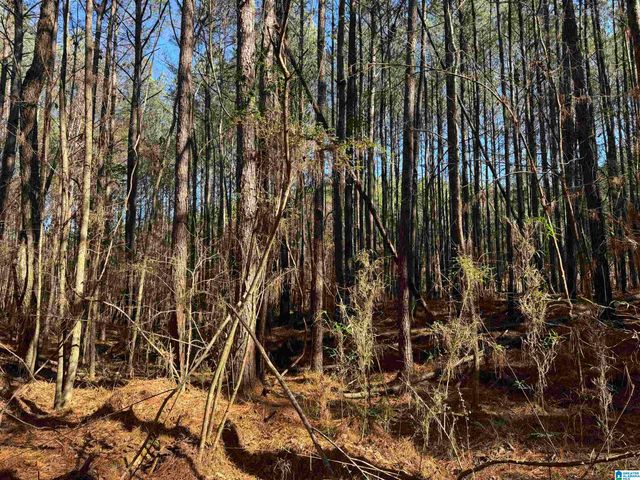 0 BOOLER ROAD, Vance, AL 35490