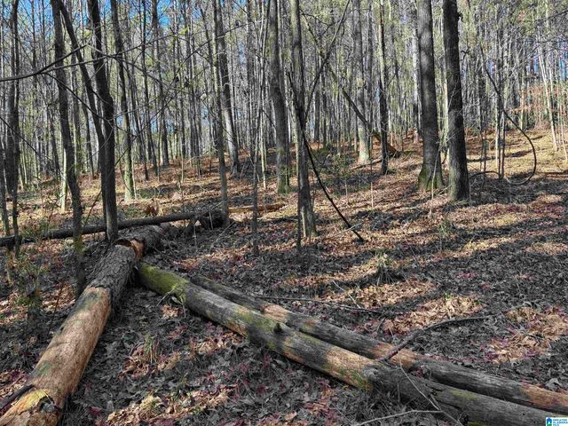 0 BOOLER ROAD, Vance, AL 35490