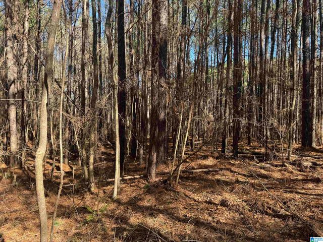 0 BOOLER ROAD, Vance, AL 35490