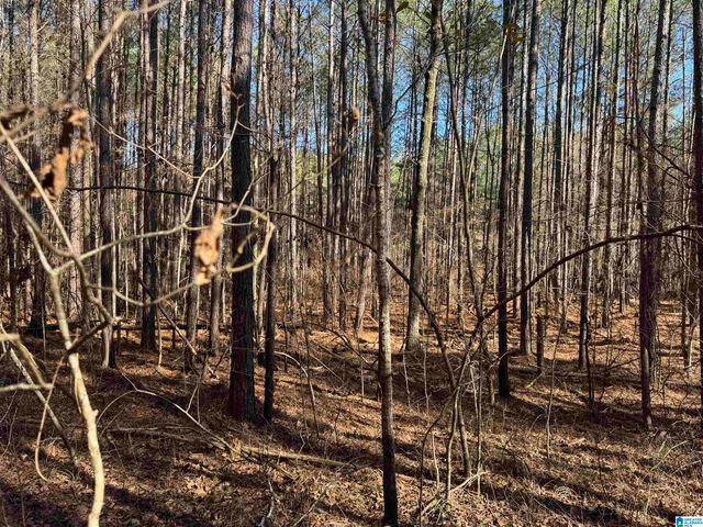 0 BOOLER ROAD, Vance, AL 35490