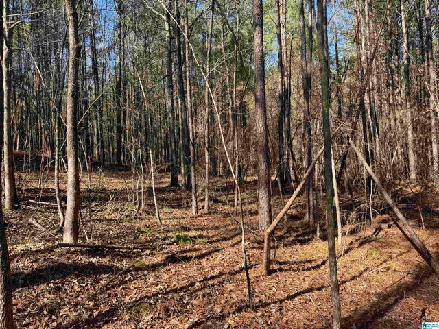 0 BOOLER ROAD, Vance, AL 35490