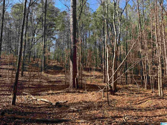 0 BOOLER ROAD, Vance, AL 35490