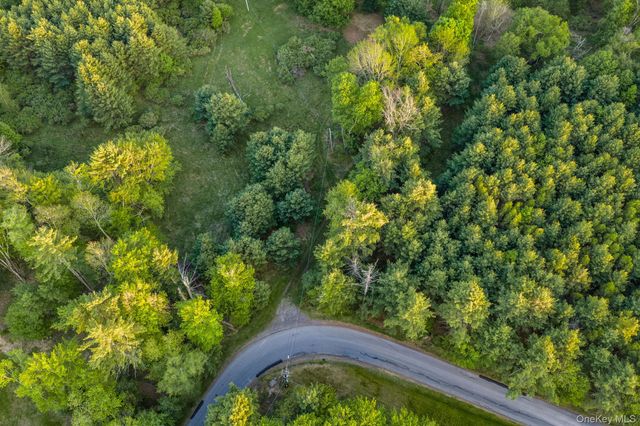 Mongaup Road, Monticello, NY 12701
