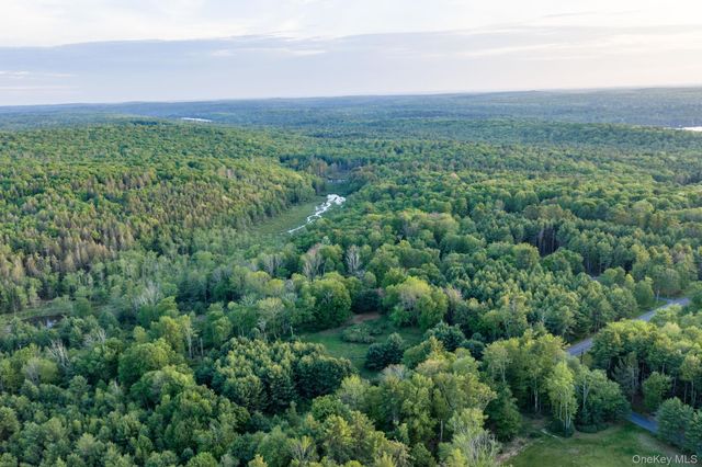 Mongaup Road, Monticello, NY 12701