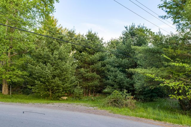 Mongaup Road, Monticello, NY 12701