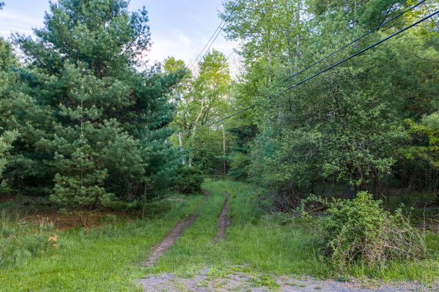 Mongaup Road, Monticello, NY 12701