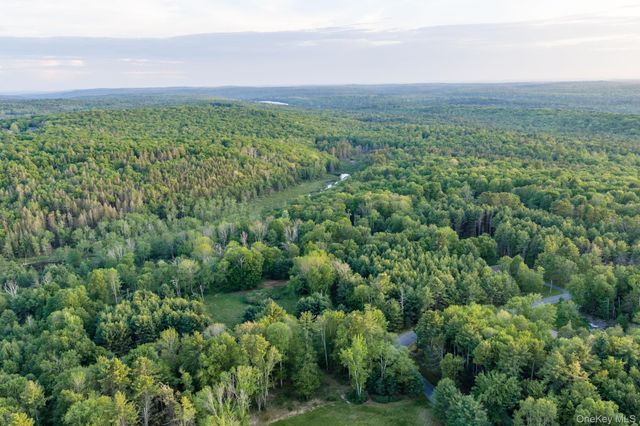 Mongaup Road, Monticello, NY 12701