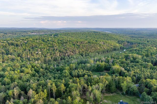 Mongaup Road, Monticello, NY 12701