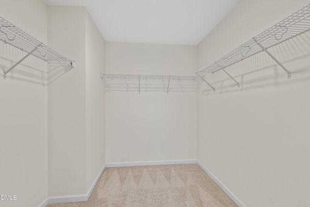 146 Whitetail Deer Lane, Garner, NC 27529